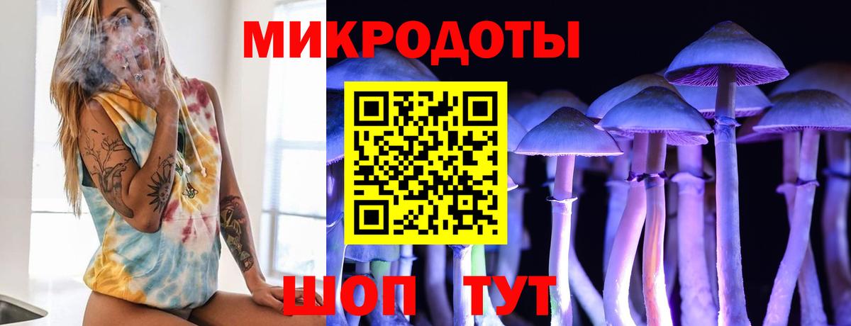 Энгельс  Галлюциногенные грибы Psilocybine cubensis  цены наркотик  Вход с VPN 